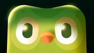 Duolingo Owl Mascot Closeup Wallpaper
