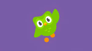 Duolingo Owl Mascot Wallpaper