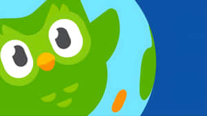 Duolingo Owl Mascot Wallpaper