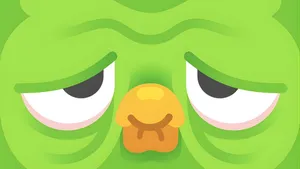 Duolingo Owl Tired Expression Wallpaper