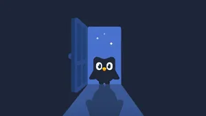 Duolingos Nighttime Owl Wallpaper