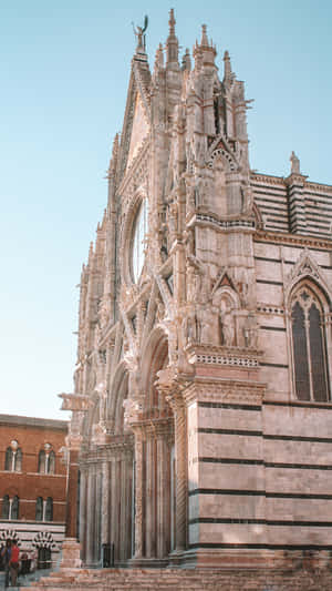 Duomo Di Siena Side View Wallpaper