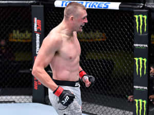 Dustin Jacoby Smiling Inside Ring Wallpaper