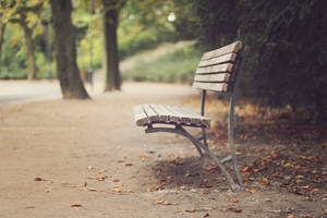 Dusty Roadside Bench Wallpaper