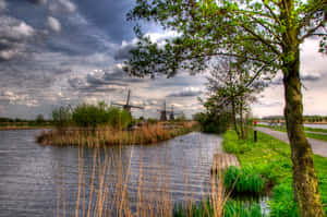 Dutch Windmills By Water Wallpaper