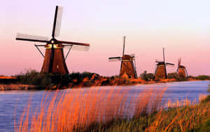 Dutch Windmillsat Sunset Wallpaper