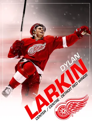 Dylan Larin Red Wings Center Wallpaper