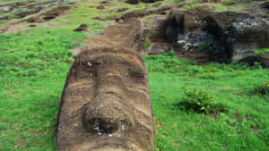 Easter Island Wallpaper