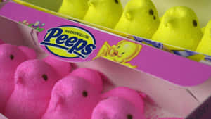 Easter Peeps Marshmallow Candies Wallpaper