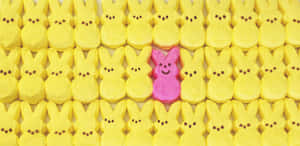 Easter Peeps Pink Bunny Among Yellow Chicks Wallpaper