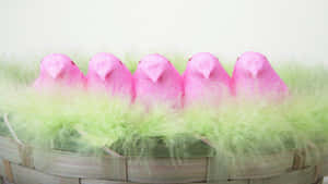 Easter Peeps Pink Chicksin Basket Wallpaper