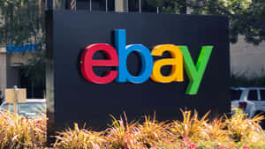 Ebay Uk Sign In A Green Setting Wallpaper