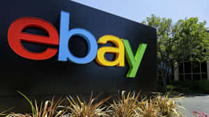 Ebay Uk Sign With Grass And Trees Wallpaper