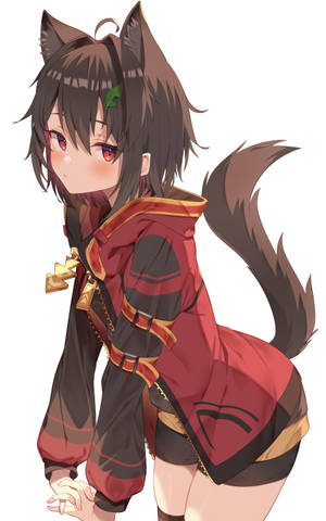 Ecchi Brown Fox Girl Wallpaper