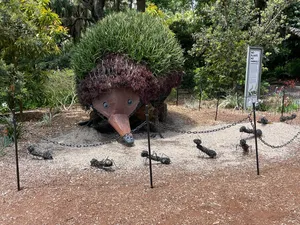 Echidna Topiary Sculpture Royal Botanic Garden Sydney Wallpaper