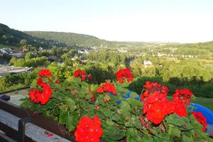 Echternach Town Viewwith Red Flowers Wallpaper