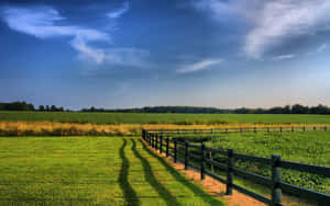 Eco-friendly Use Of Natural Resources Wallpaper