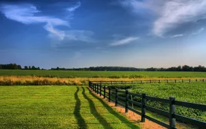 Eco-friendly Use Of Natural Resources Wallpaper