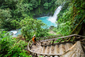 Eco-tourism Adventure: Exploring Lush Green Forests And Waterfalls Wallpaper