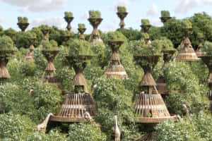 Eco-tourism Adventure In Lush Green Forest Wallpaper