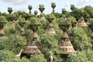 Eco-tourism Adventure In Lush Green Forest Wallpaper