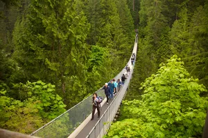 Eco-tourism Adventure In The Heart Of Nature Wallpaper