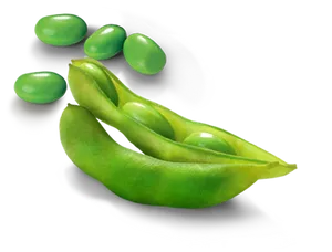 Edamame Beans In A Pod Wallpaper
