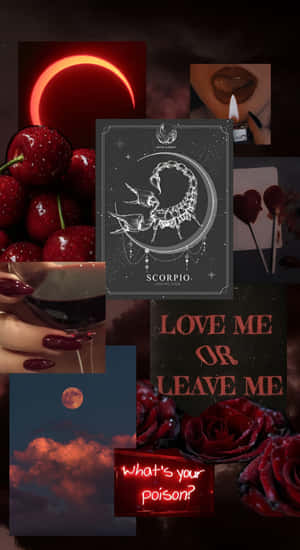 Edgy Scorpio Dark Aesthetic Wallpaper