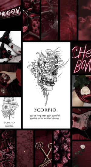 Edgy Scorpio Dark Aesthetic Wallpaper