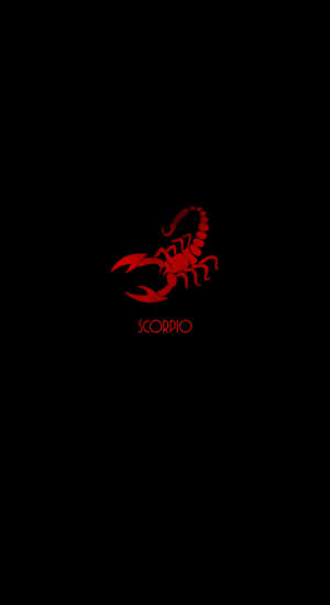 Edgy Scorpio Red Scorpion Wallpaper