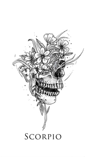 Edgy Scorpio Skull Art Wallpaper