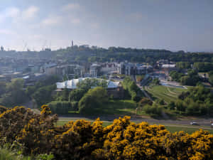 Edinburgh Cityscape From Salisbury Crags Wallpaper