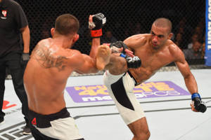 Edson Barboza Vs Anthony Pettis Wallpaper