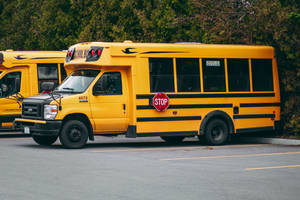 Educational School Bus Wallpaper