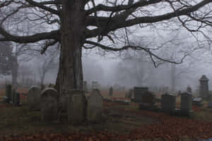 Eerie Gravestone In A Foggy Cemetery Wallpaper