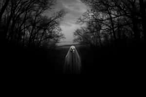 Eerie_ Spectral_ Figure_in_ Woods.jpg Wallpaper