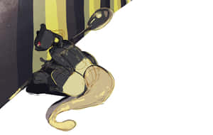 Effective Black Raccoon [wallpaper] Wallpaper