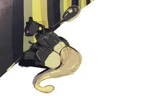 Effective Black Raccoon [wallpaper] Wallpaper