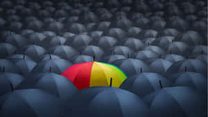 Effective Colored Umbrella [wallpaper] Wallpaper