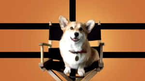 Ein The Intelligent Corgi From Cowboy Bebop Wallpaper