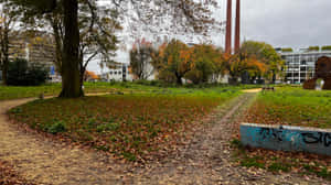 Eindhoven Autumn Park Path Wallpaper