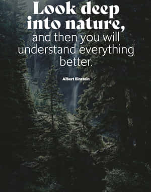 Einstein Nature Quote Forest Waterfall Wallpaper
