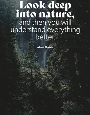 Einstein Nature Quote Forest Waterfall Wallpaper