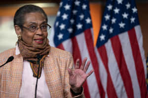 Eleanor Holmes Norton With United States Flag Wallpaper