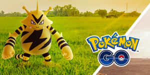 Electabuzz In Pokemon Go Wallpaper