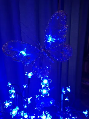 Electric Blue Butterfly Decoration Wallpaper