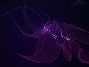 Electric Purple Jellyfish Art Wallpaper