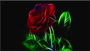 Elegant Abstract Rose Wallpaper Wallpaper