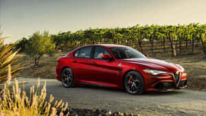 Elegant Alfa Romeo Giulia On Scenic Road Wallpaper