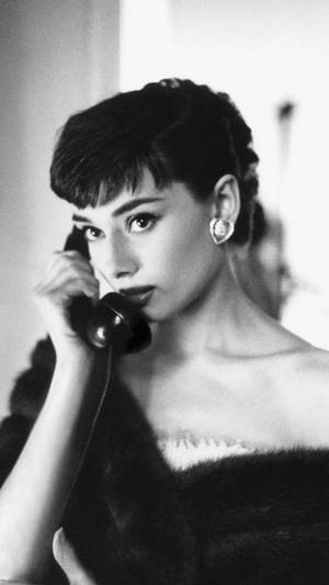 Elegant Audrey Hepburn Wallpaper